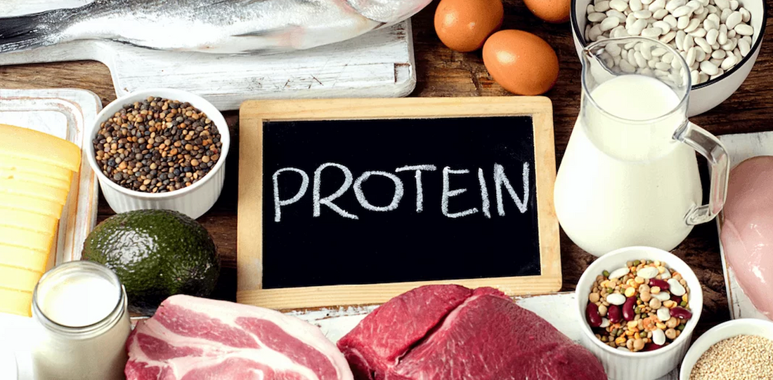 Protein Banner