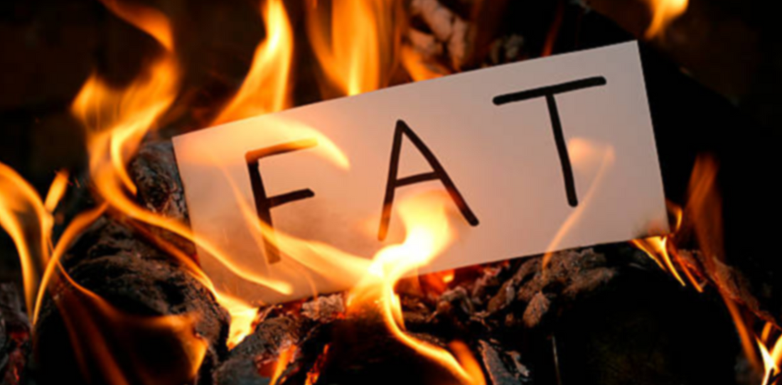 Acetyl L-Carnitine to Help Burn Your Fat