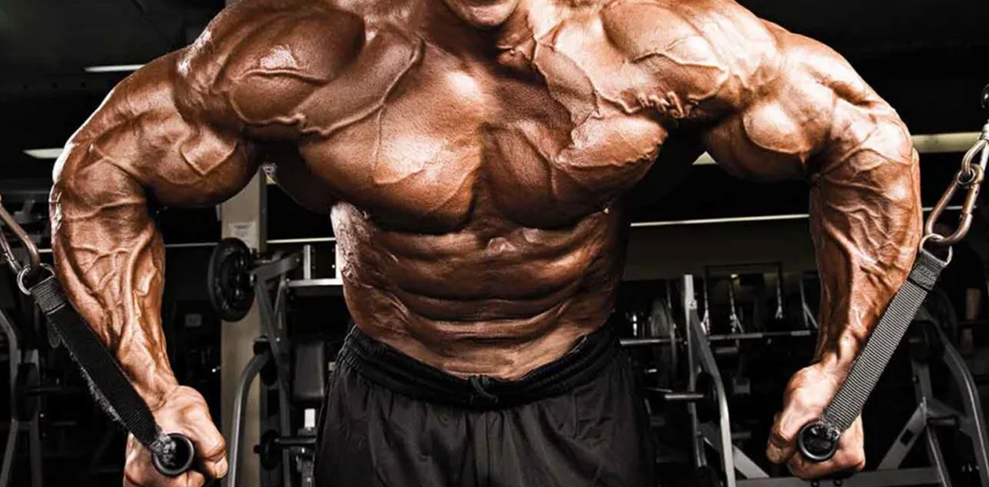 Progressive Overload: The Real Secret Behind Muscle Growth