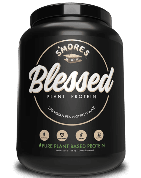 Plant Protein Smores by Blessed Plant Protein